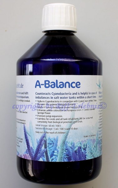 Pohl`s A-Balance Korallenzucht 500ml 83,80€/L