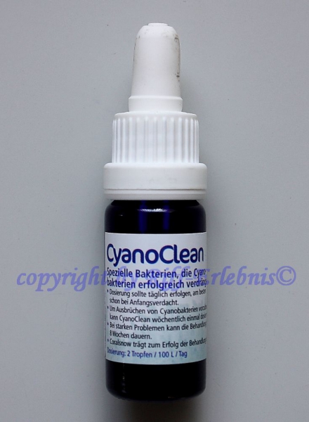 CyanoClean 10ml Korallenzucht 145,00€/100ml