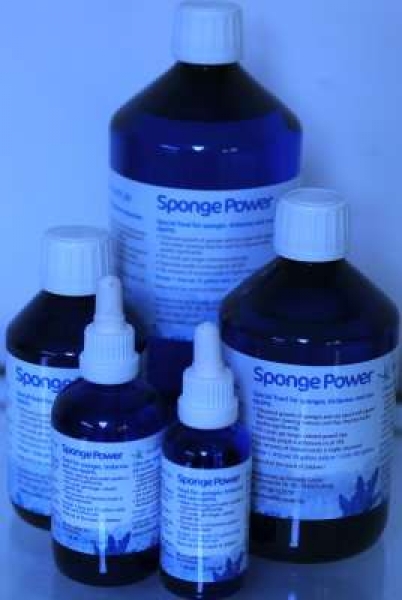 Sponge Power Konzentrat 500ml Korallenzucht 260,00€/L